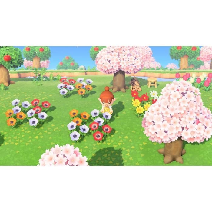 Animal Crossing: New Horizons • Jeu Nintendo Switch – Image 6