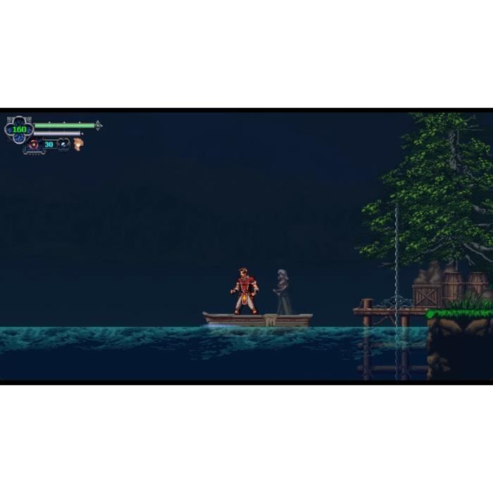 Chronicles of the Wolf - Jeu Nintendo Switch – Image 3