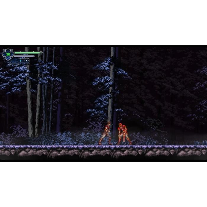 Chronicles of the Wolf - Jeu Nintendo Switch – Image 5