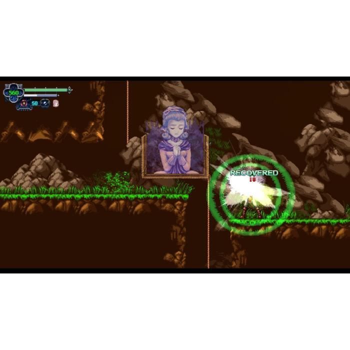 Chronicles of the Wolf - Jeu Nintendo Switch – Image 7