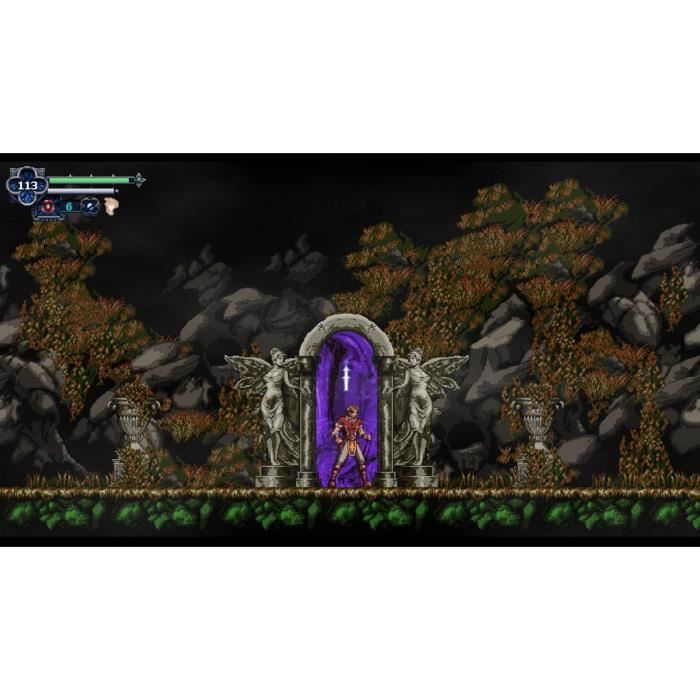 Chronicles of the Wolf - Jeu Nintendo Switch – Image 8