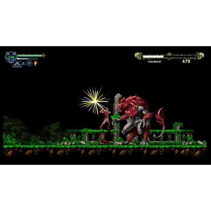 Chronicles of the Wolf - Jeu Nintendo Switch – Image 9