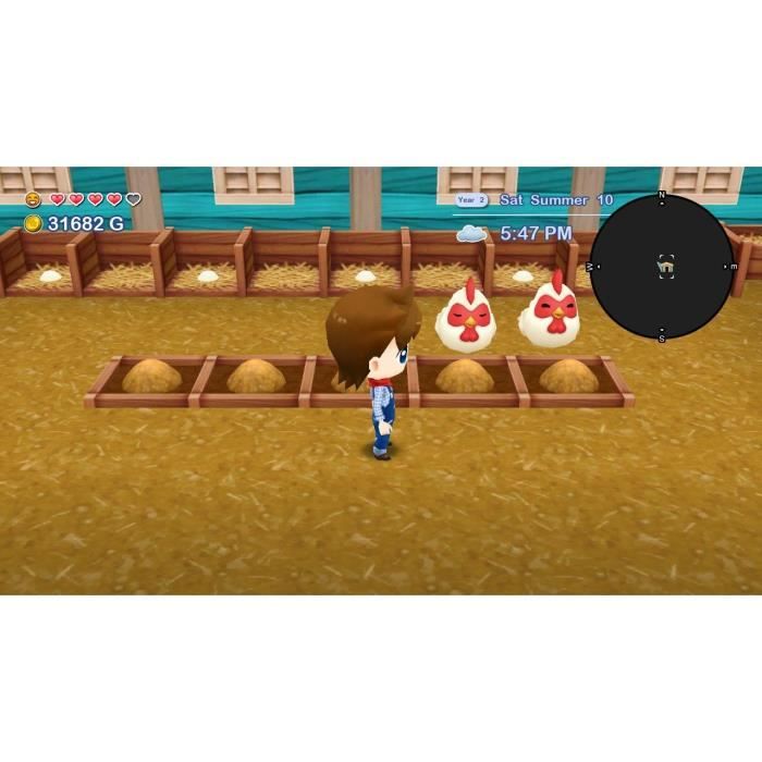 Harvest Moon The Lost Valley + Skytree Village - Edition Collector - Jeu Nintendo Switch – Image 5