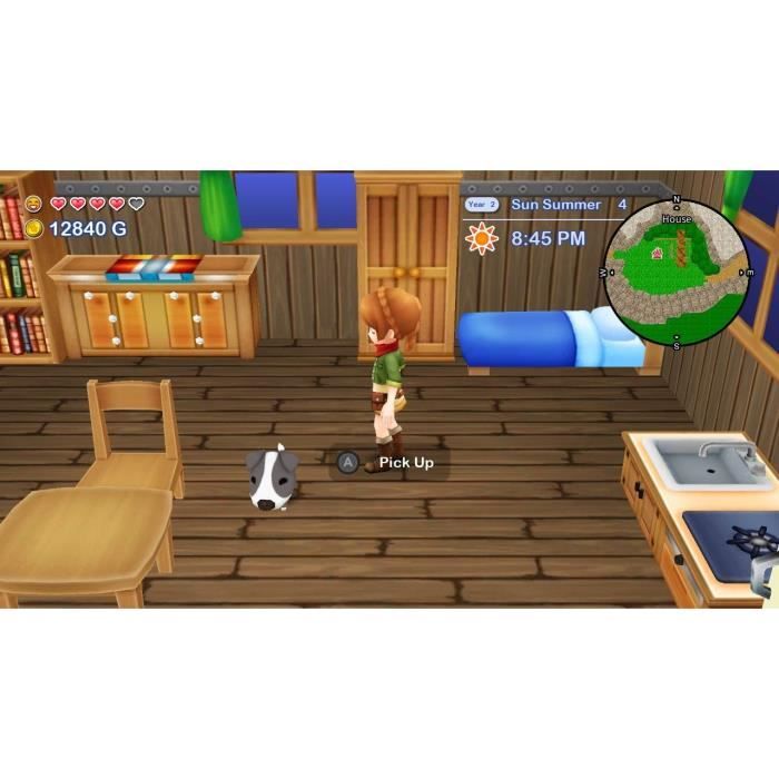 Harvest Moon The Lost Valley + Skytree Village - Edition Collector - Jeu Nintendo Switch – Image 8