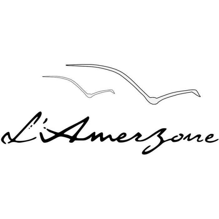 L’Amerzone: Le Testament de l’Explorateur - Jeu PS5 – Image 7