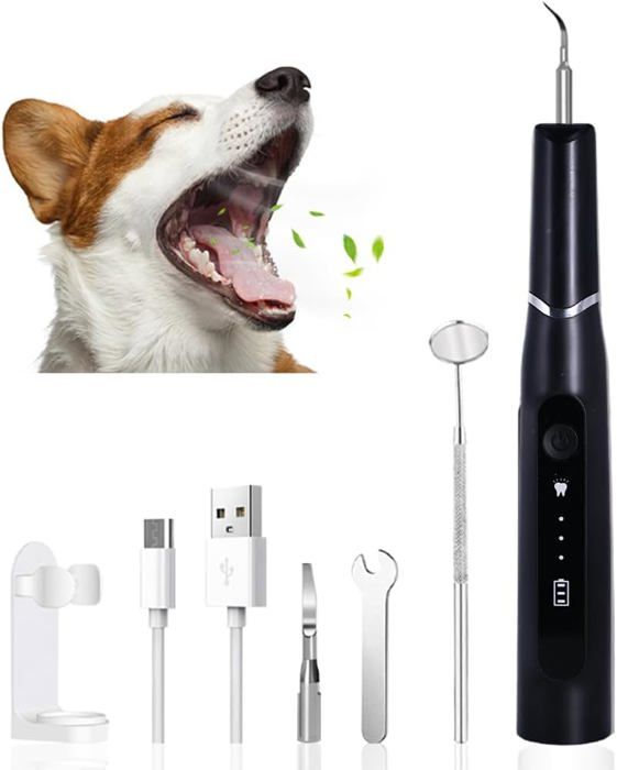 Nettoyeur Dentaire À Ultrasons Pour Animaux De Compagnie, Kit De Soins Dentaires Lutte Contre Le Tartre, La Mauva Haleine Et Les
