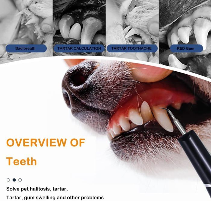 Nettoyeur Dentaire À Ultrasons Pour Animaux De Compagnie, Kit De Soins Dentaires Lutte Contre Le Tartre, La Mauva Haleine Et Les – Image 3