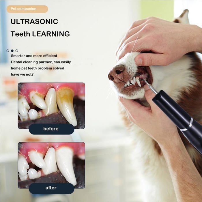 Nettoyeur Dentaire À Ultrasons Pour Animaux De Compagnie, Kit De Soins Dentaires Lutte Contre Le Tartre, La Mauva Haleine Et Les – Image 5