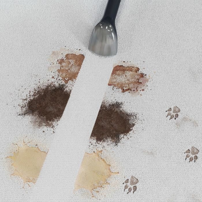 Nettoyeur Détacheur Shampouineuse HOOVER HS500 - Lave et Sèche Tapis,Moquette, Canapé, Tissus, Sièges Voiture - Puissant 400W – Image 4