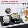 Plaque Gaz 3 Feux, Plaque de Cuisson à Gaz Avec 3 Foyers à Gaz, Cuisinière Encastrable, Gaz Naturel/Propane(3 Brûleurs) L60 x P52 – Image 2