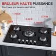 Plaque à Gaz 5 Feux, Plaque Gaz, Plaque de Cuisson à Gaz, Gaz Naturel/Propane/Butane (5 Brûleurs) L77 x P51 cm – Image 3