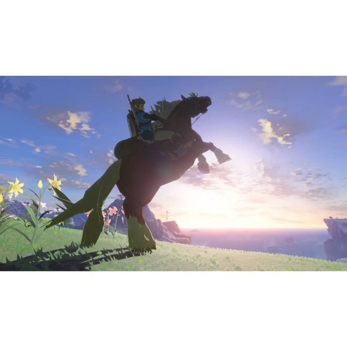The Legend of Zelda: Tears of the Kingdom • Jeu Nintendo Switch – Image 6