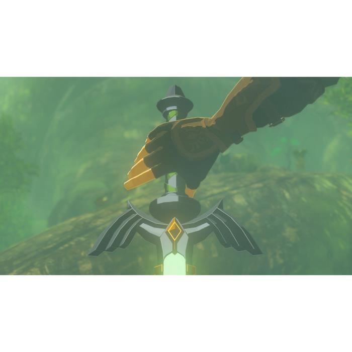 The Legend of Zelda: Tears of the Kingdom • Jeu Nintendo Switch – Image 7