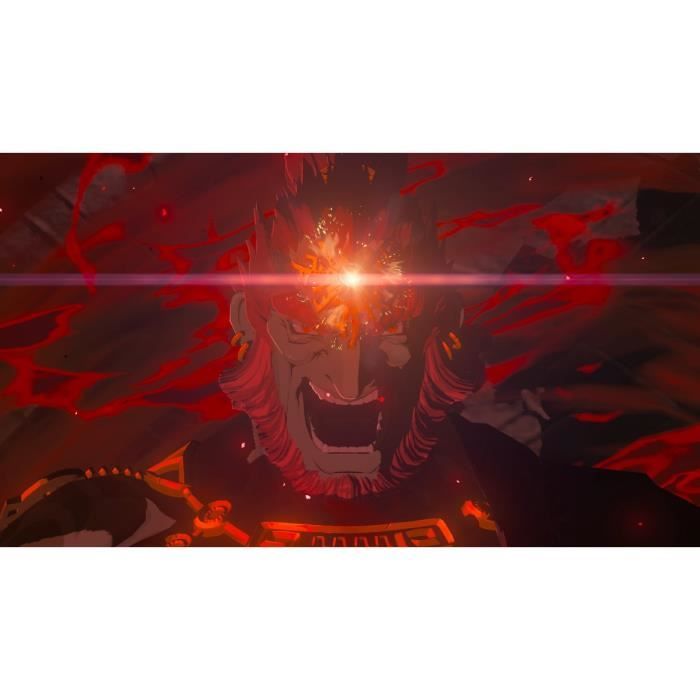 The Legend of Zelda: Tears of the Kingdom • Jeu Nintendo Switch – Image 9