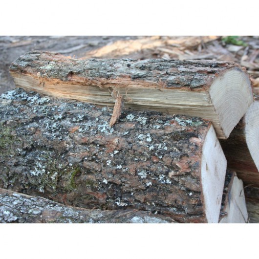 Bûches de chêne vert – 30 cm